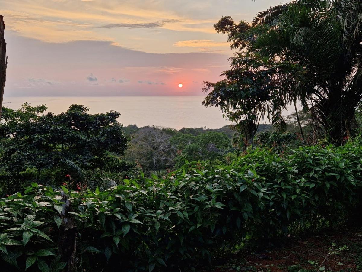 World'S View Wild Camping Salaszoi, Principe Island Santo António Exteriör bild
